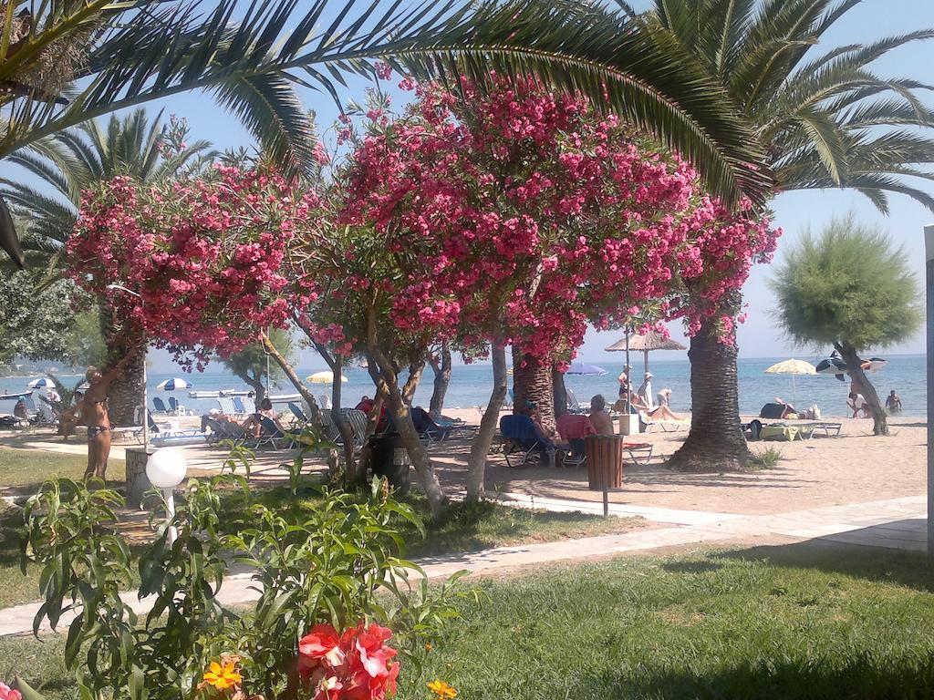 מוראיטיקה Three Stars Beach Hotel מראה חיצוני תמונה